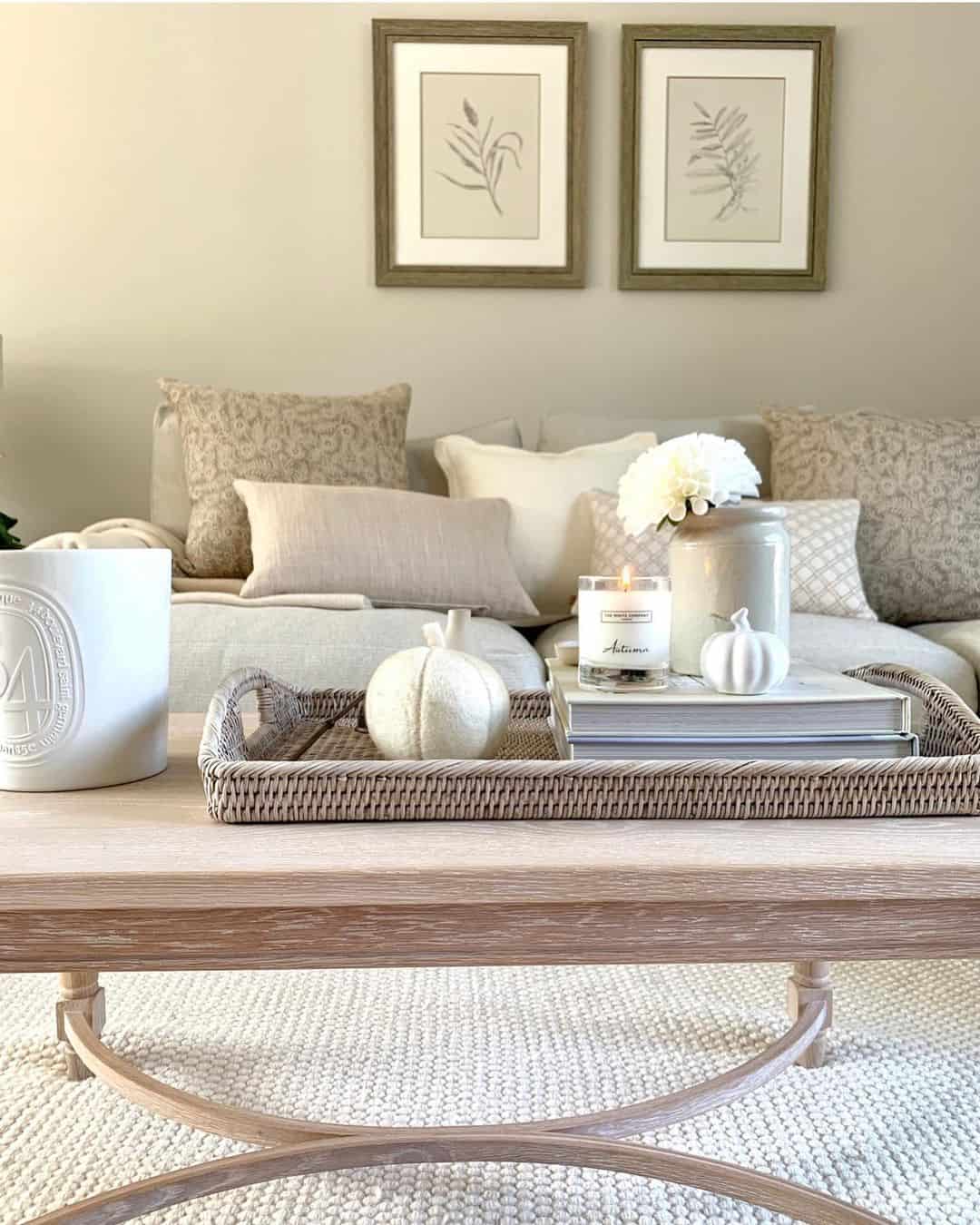 34 Coffee Table Tray Ideas for Stunning Living Room Décor