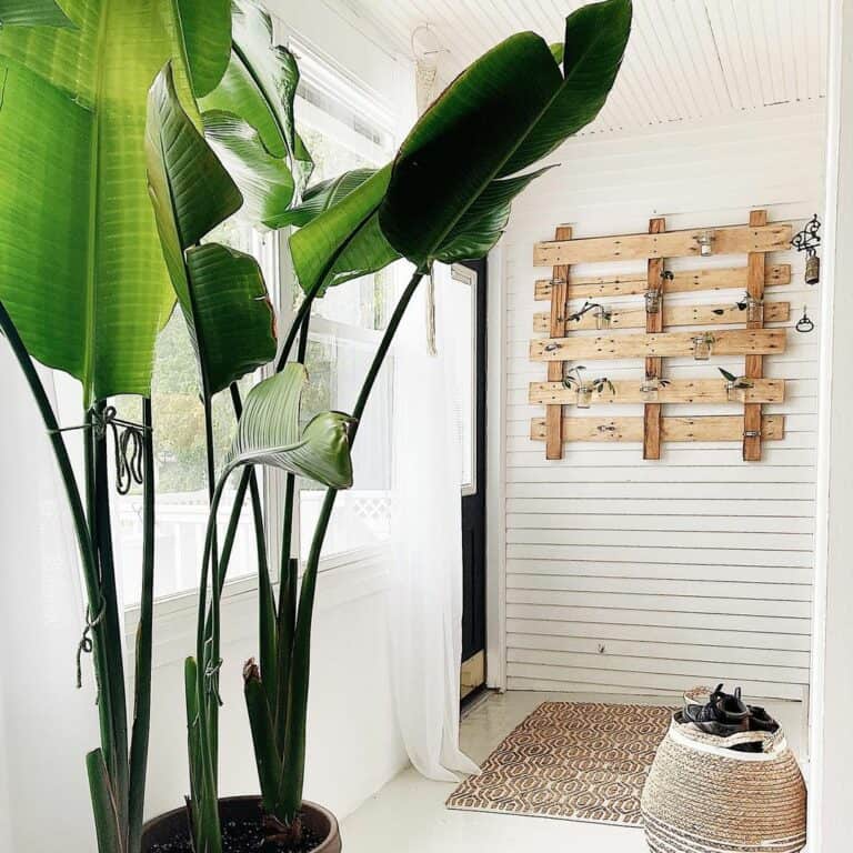 14. A Green Oasis: Where Function Meets Natural Charm