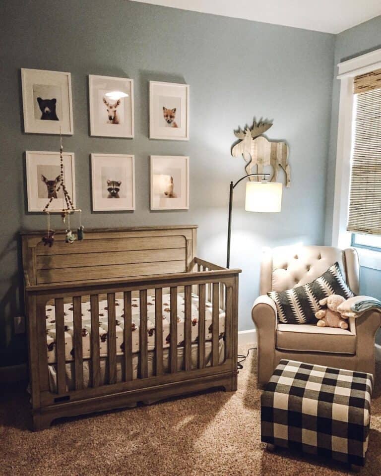 Shops baby boy themed nursery